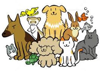 新しい画像 (41)